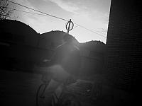 wangyuming